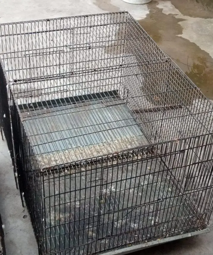 moti wire cage available for birds total 8 — photo 9