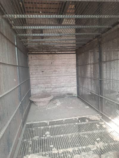 birds cages