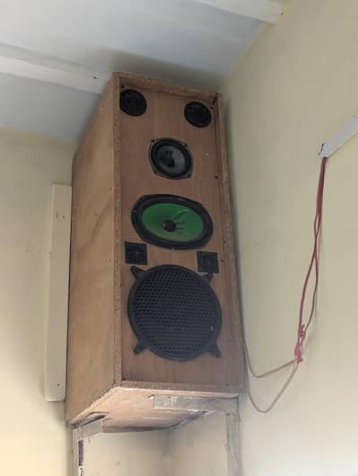 Basser spiker 10 inch + 6 buffer + 8 inch car buffer