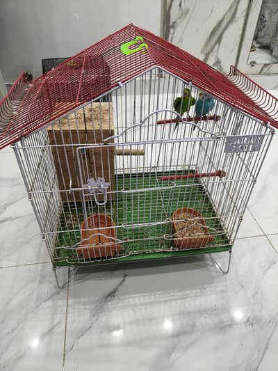 1 pair of budgies Australian parrots with big cage
