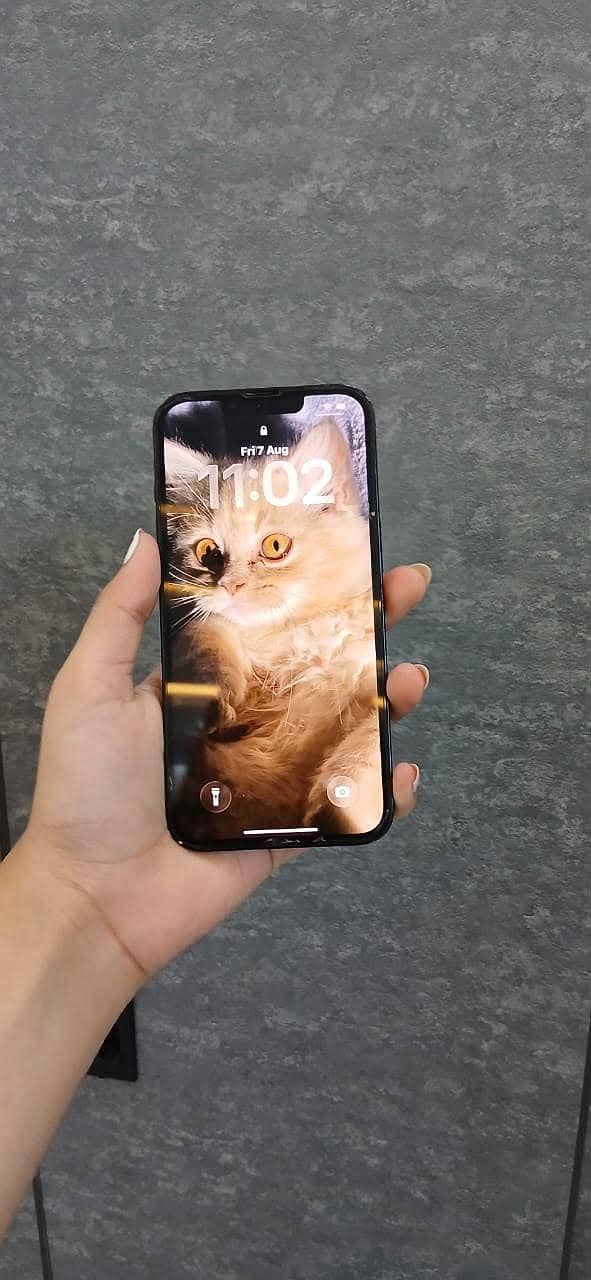 iphone 13 1
