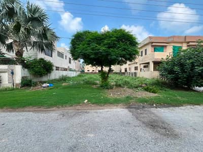 1 Kanal Top Location Plot Ideal For Living And Construction Business