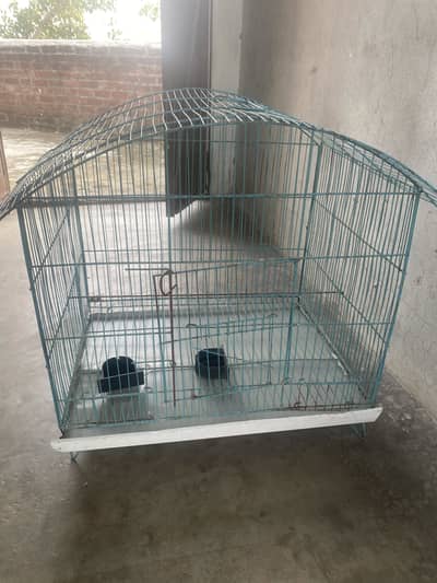Pingra Bird Cage Aroop