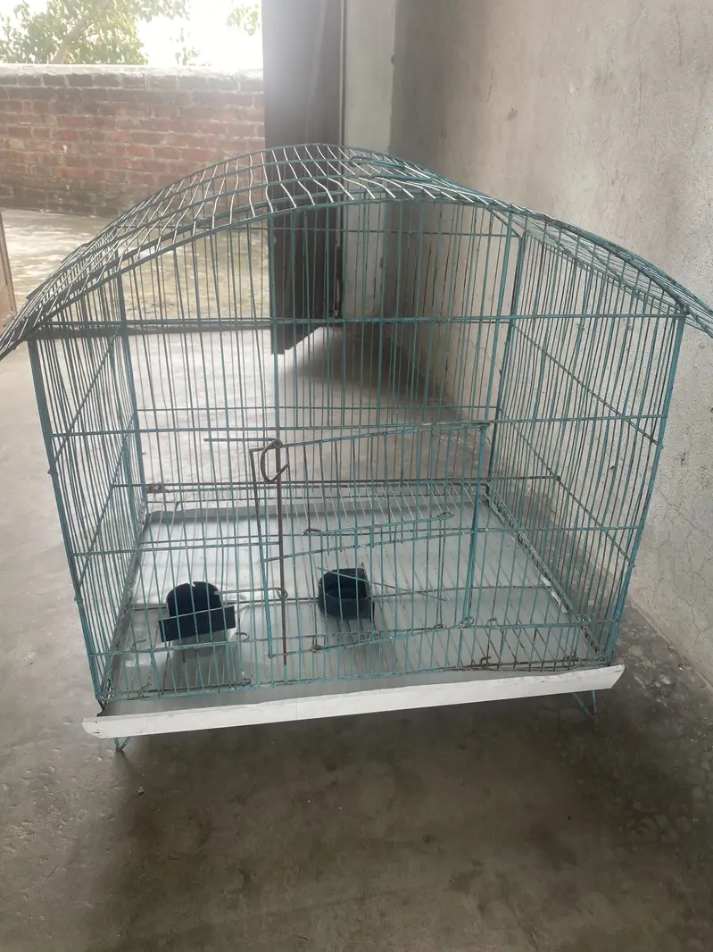 Pingra Bird Cage Aroop