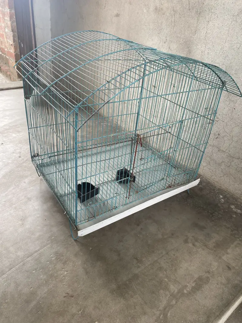 Pingra Bird Cage Aroop — photo 2