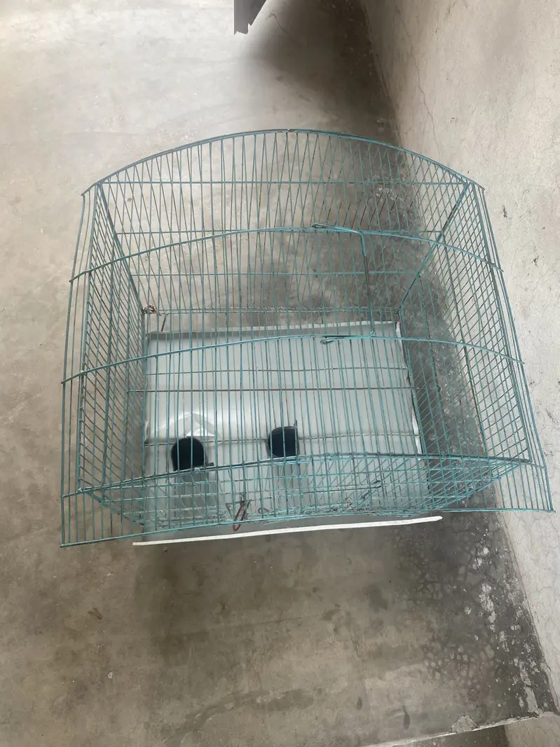 Pingra Bird Cage Aroop — photo 3