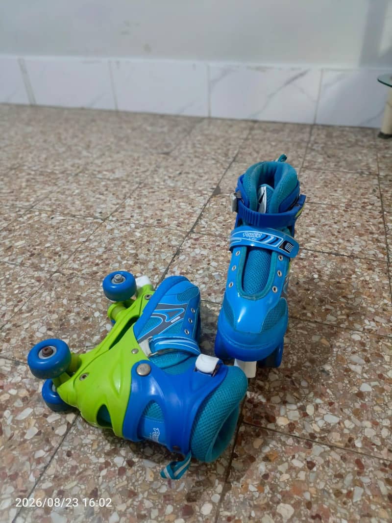 skates 1