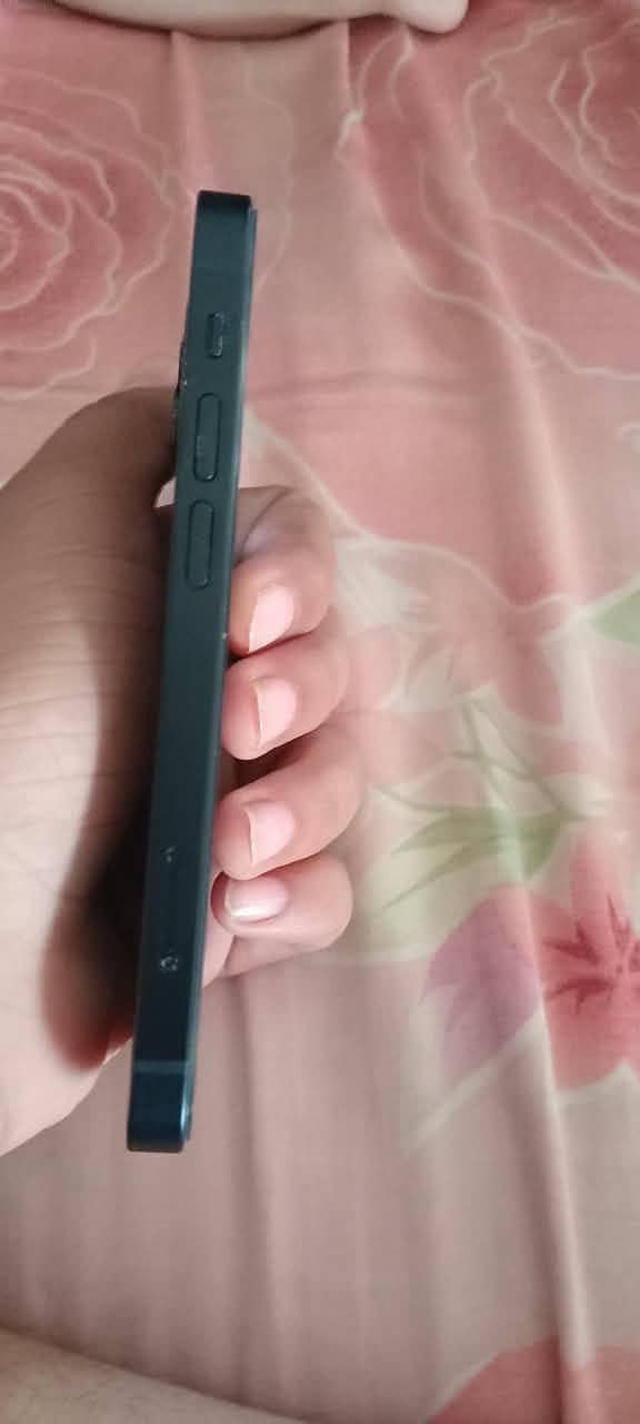 Apple iPhone 13 mini 1