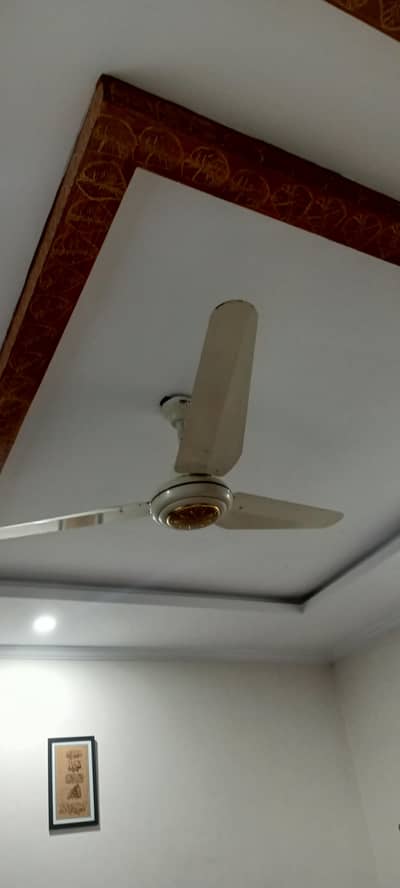 fans chat waly