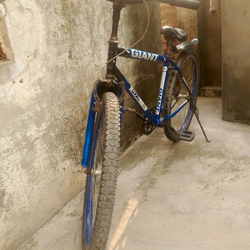 bicycle 0