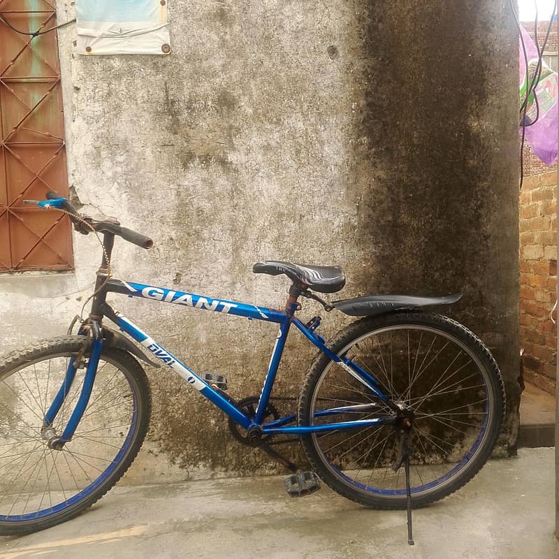 bicycle 2
