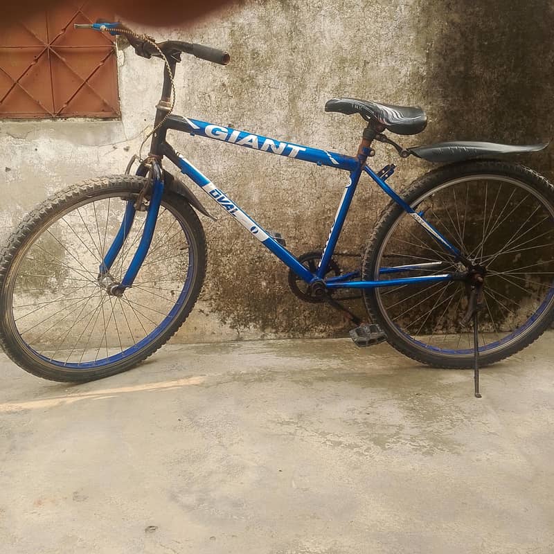 bicycle 3