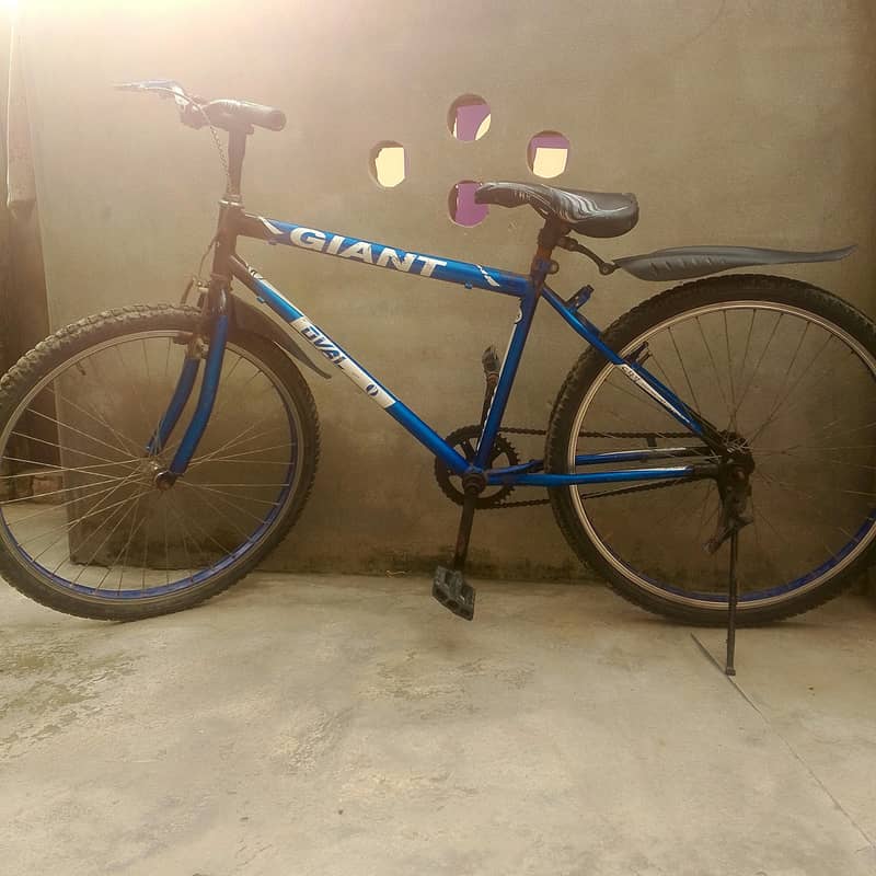 bicycle 5