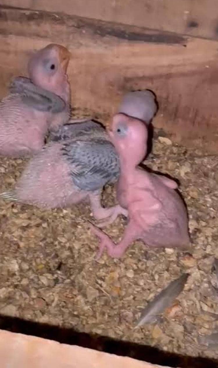 3 AVAILABLE 0