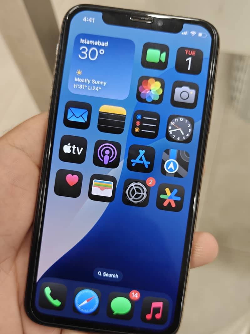 Apple iPhone XS 1