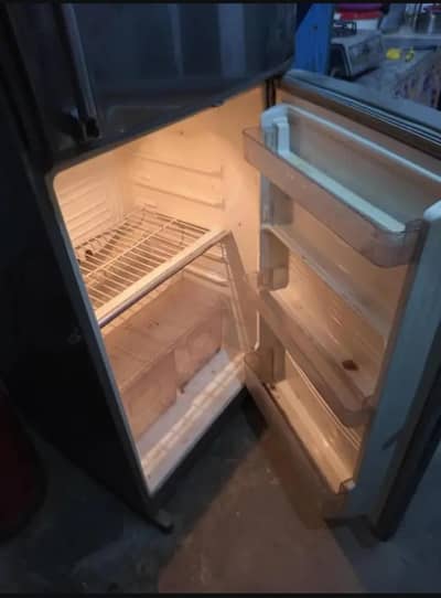dalwance meduim size best fridge