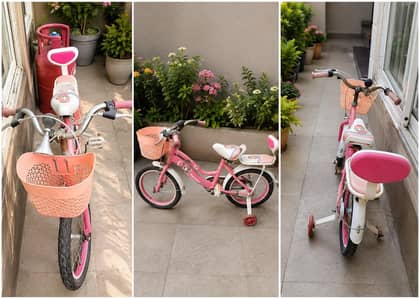 cycle from age 5 to 10