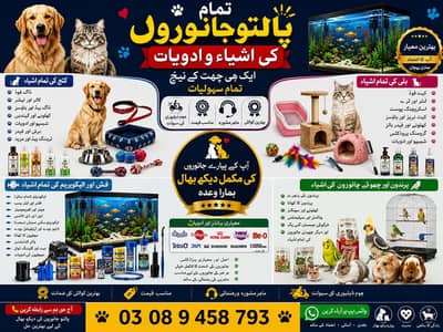 all pet acessors