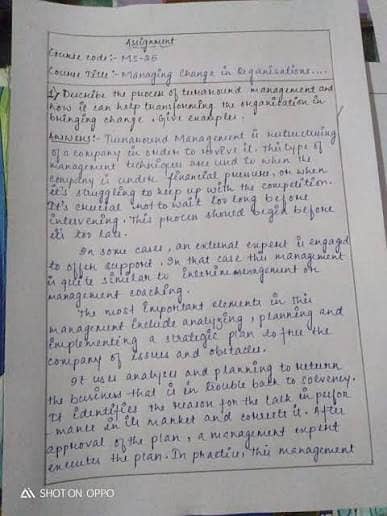 assignment writng, typing , word, excel and so on