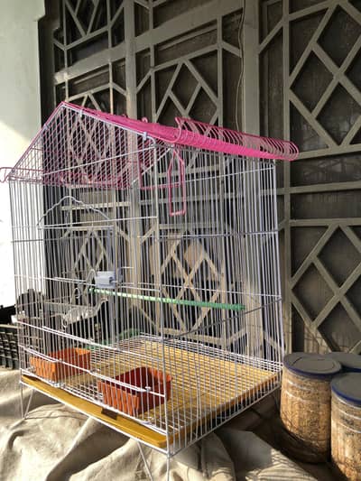 Parrot Cage