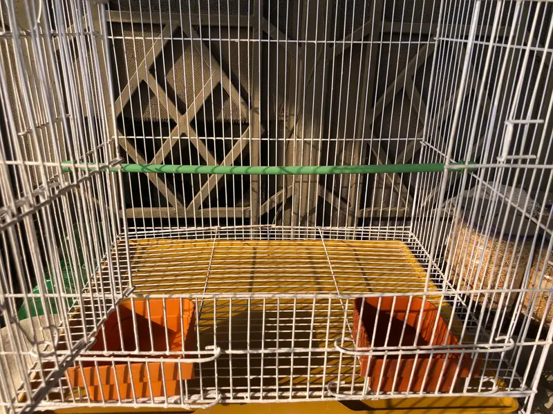 Parrot Cage — photo 2