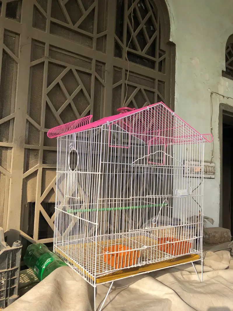 Parrot Cage — photo 3