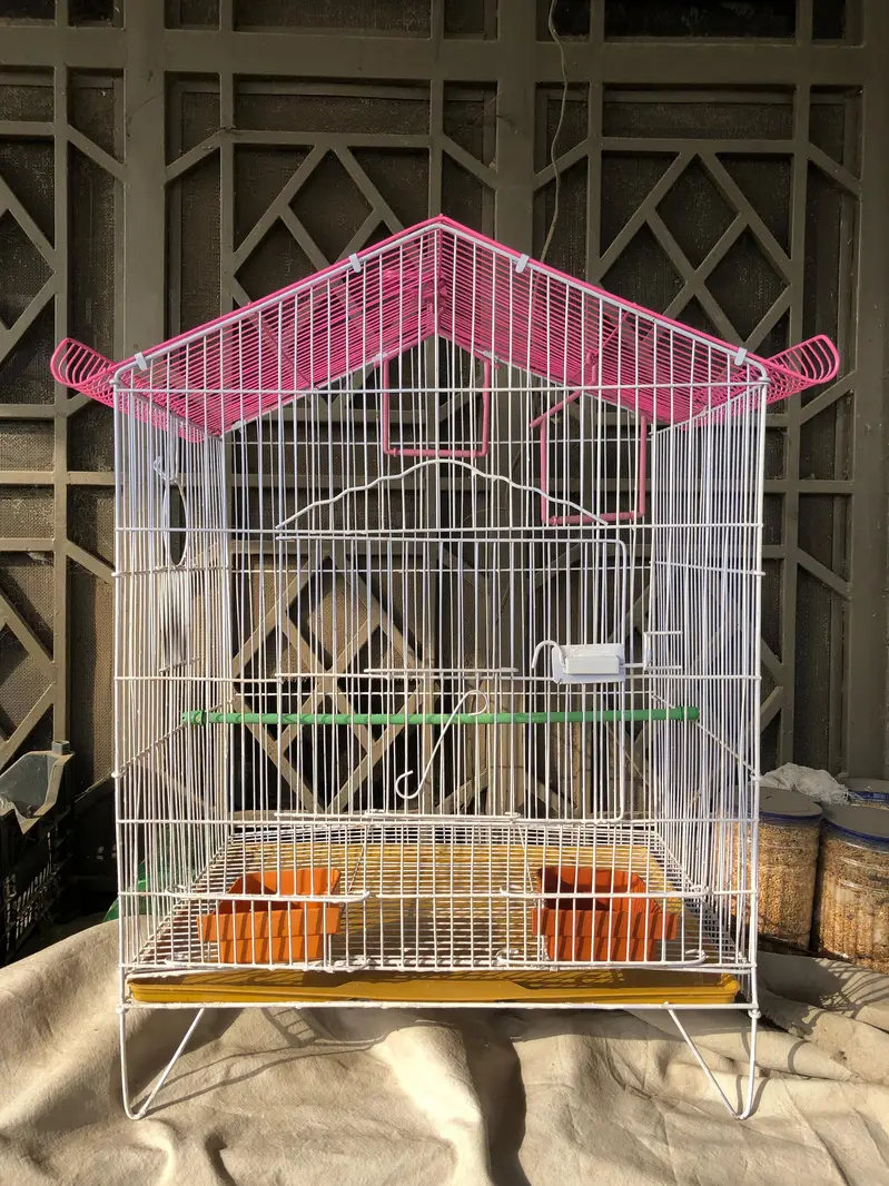 Parrot Cage — photo 4