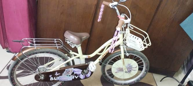 Girls cycle metal body