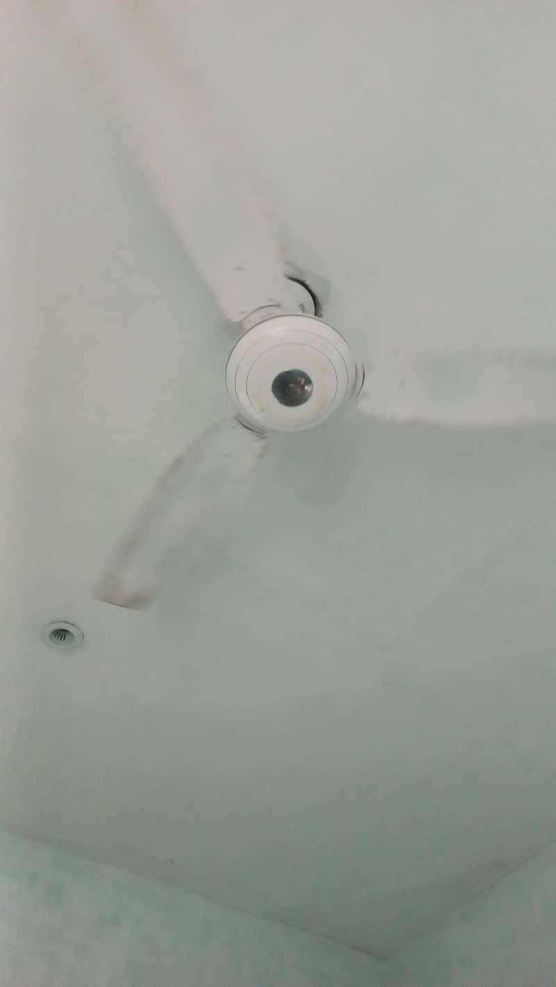 GFC CEILING FAN 1