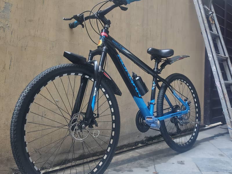 BICYCLE 6