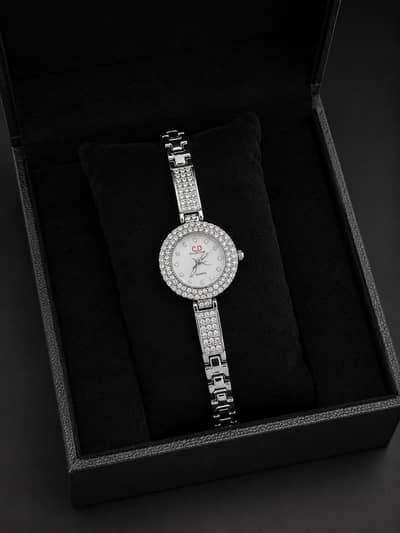 Classic Silver Ladies Watch 