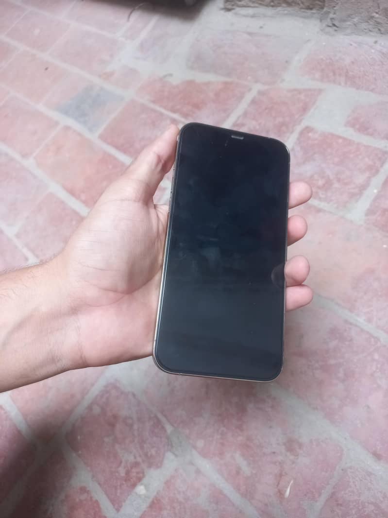 Apple iPhone 12 Pro Max 5