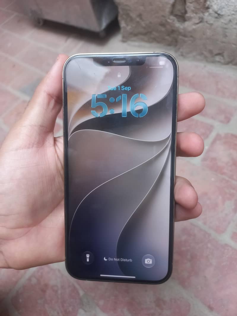 Apple iPhone 12 Pro Max 6