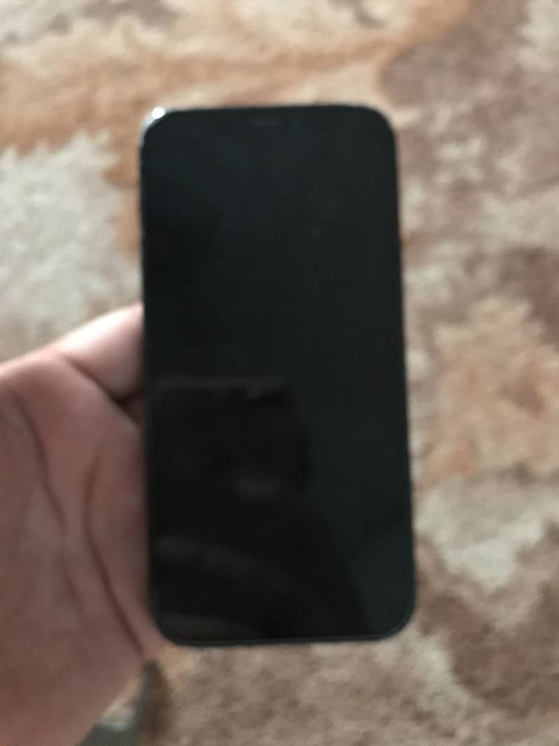 Apple iPhone 12 0