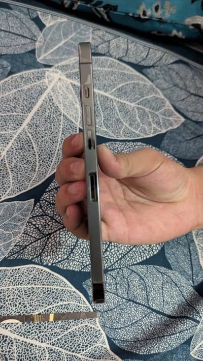 Apple iPhone 12 Pro Max