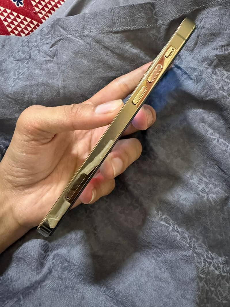 Apple iPhone 12 Pro 2