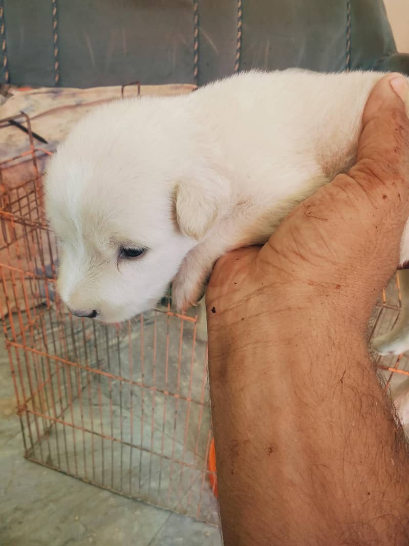 10000 0