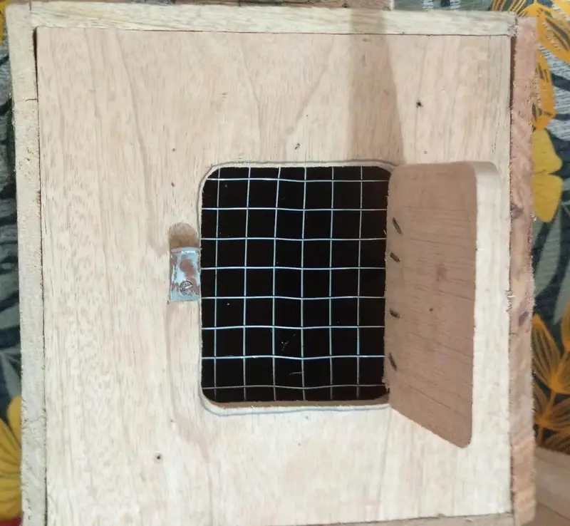 L shape birds breeding box single and bluk quantity both available — photo 2