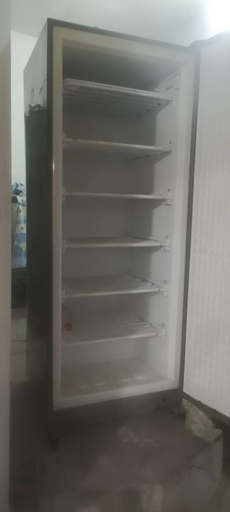 Vertical Deep Freezer 2