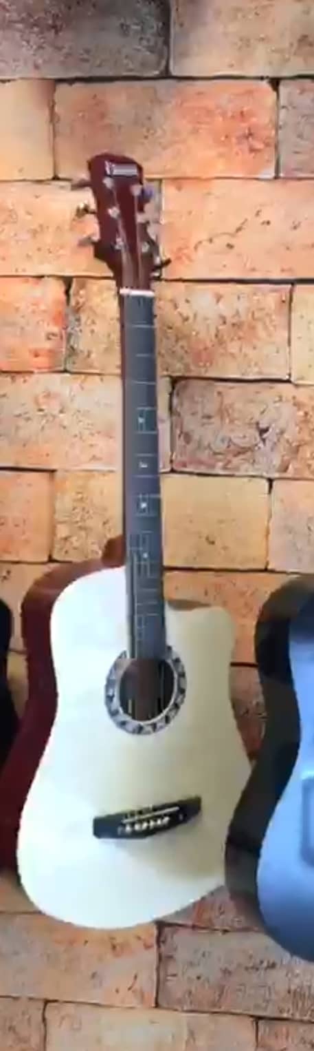 Guitar Irin 4