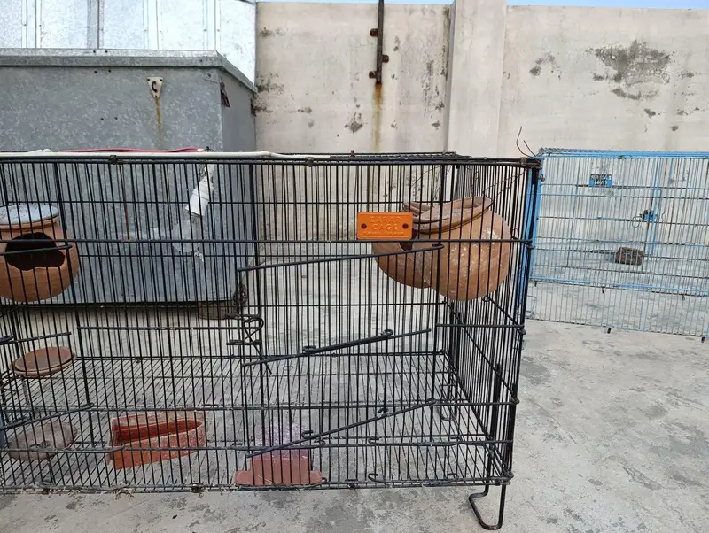 Folding cages for sale — photo 4