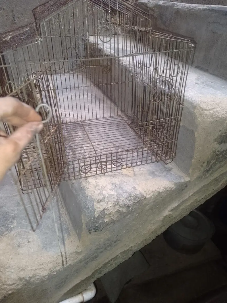 One portion pinjra hai — photo 2