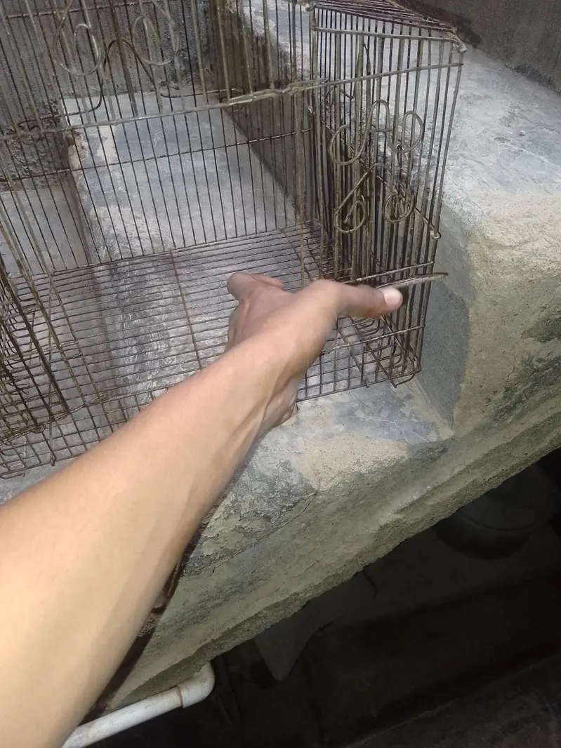 One portion pinjra hai — photo 3