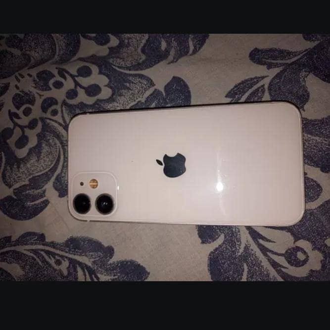 Apple iPhone 12 mini 0