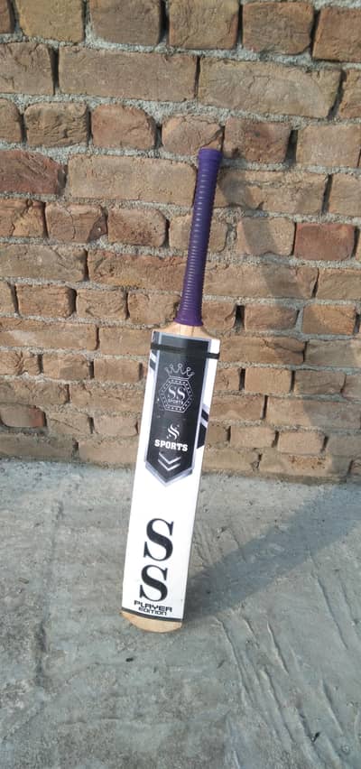 professional bat