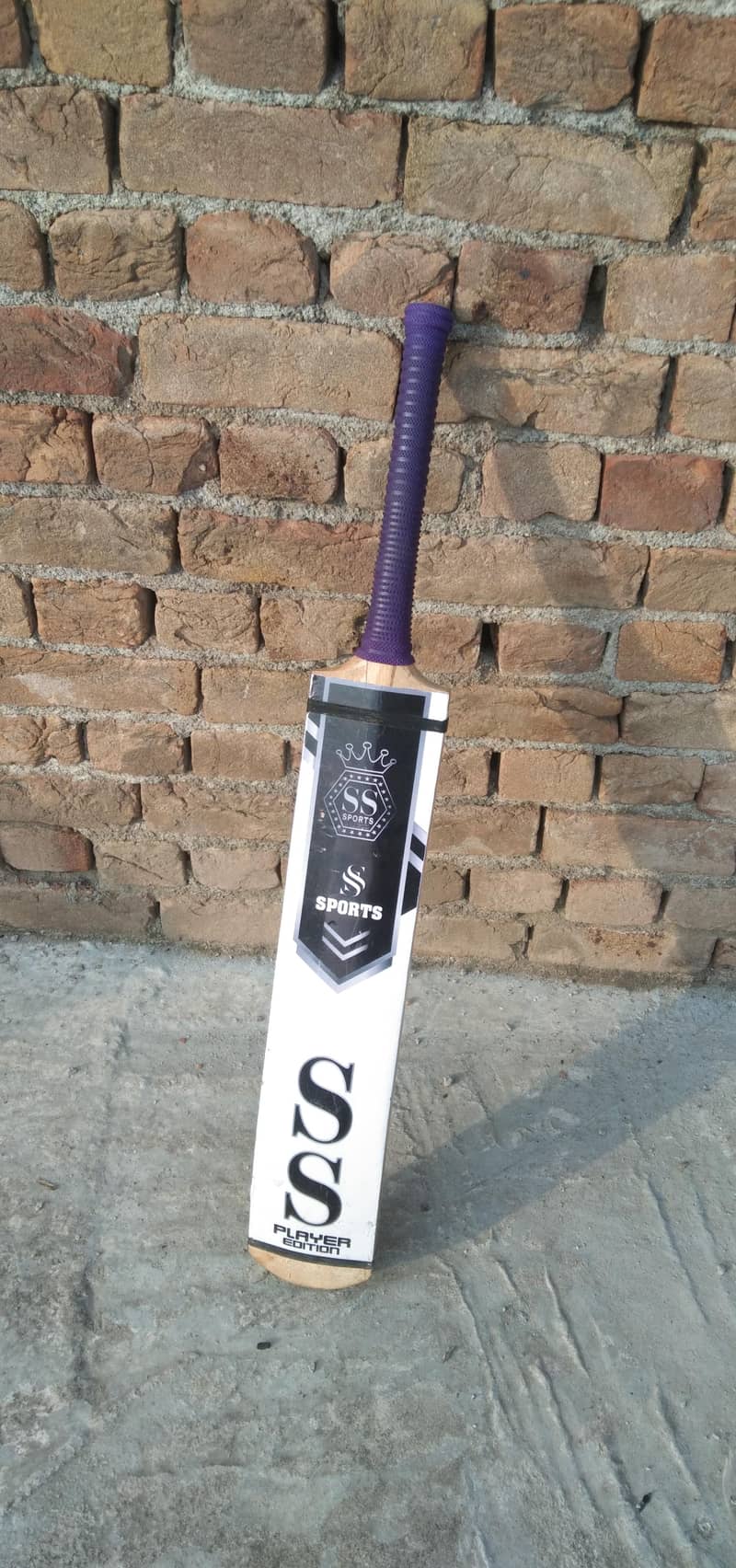 professional bat 0