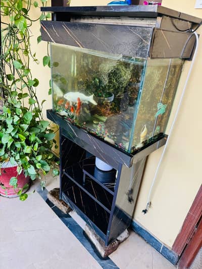 Preloved with fish