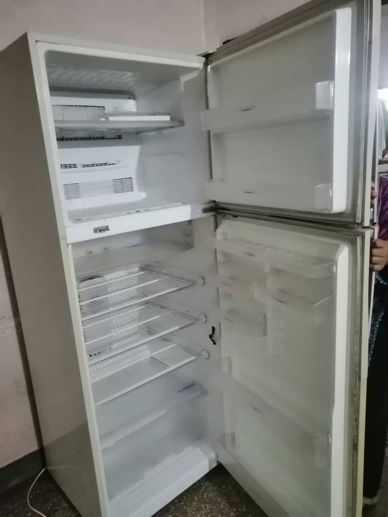 teera freezer 1