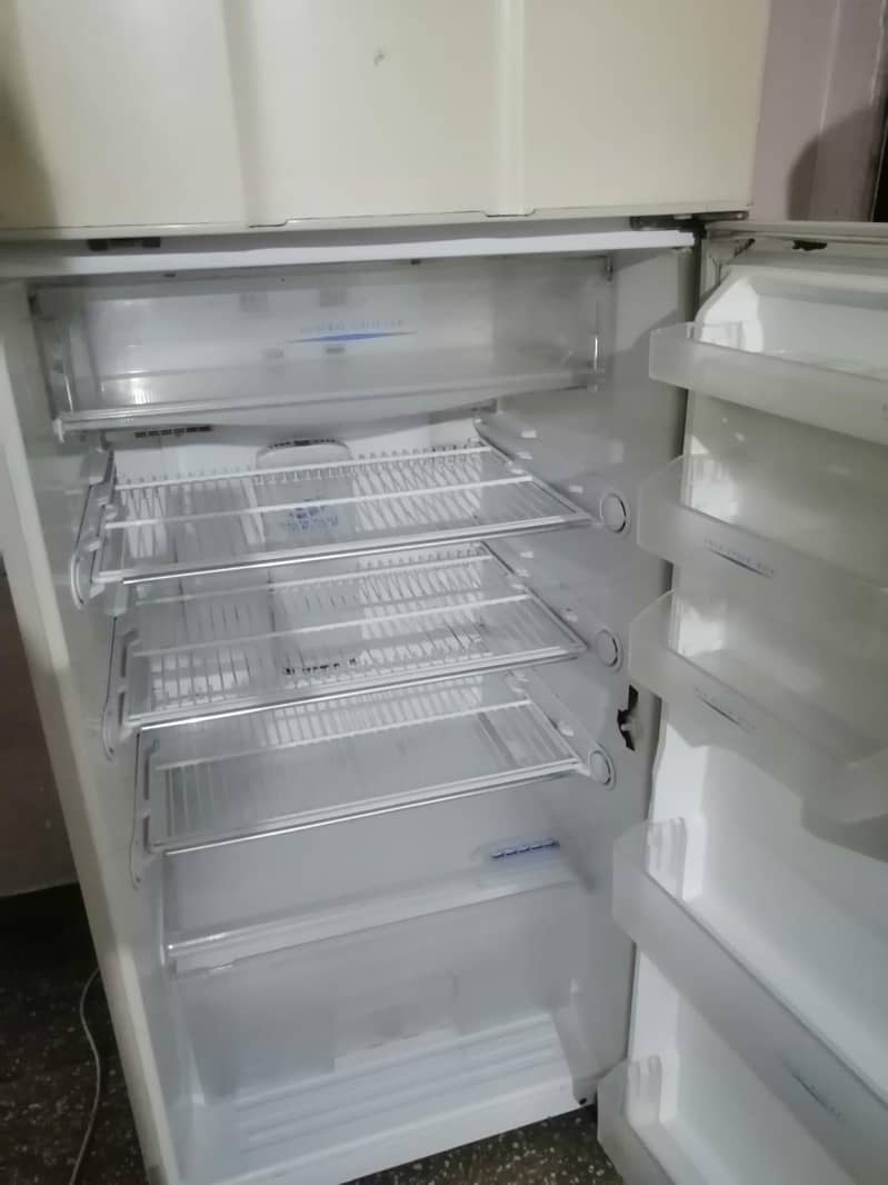 teera freezer 2