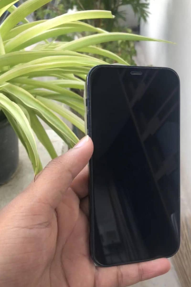 Apple iPhone 12 1